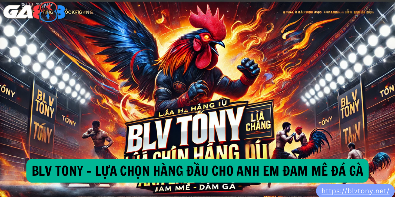 BLV Tony – Lựa Chọn Hàng Đầu Cho Anh Em Đam Mê Đá Gà