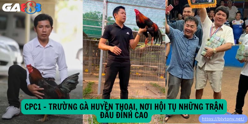 CPC1 – Trường Gà Huyền Thoại, Nơi Hội Tụ Những Trận Đấu Đỉnh Cao