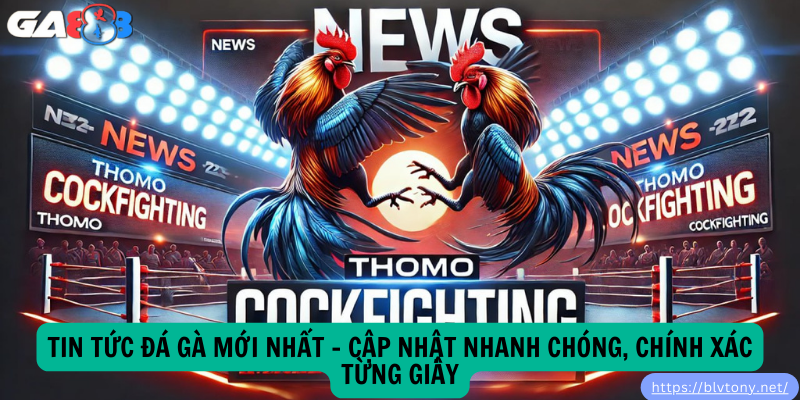 Tin Tức Đá Gà Mới Nhất – Cập Nhật Nhanh Chóng, Chính Xác Từng Giây